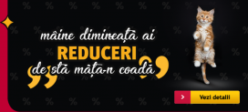 BLEC FRAIDEI pe AlteX.ro – Vezi reducerile…